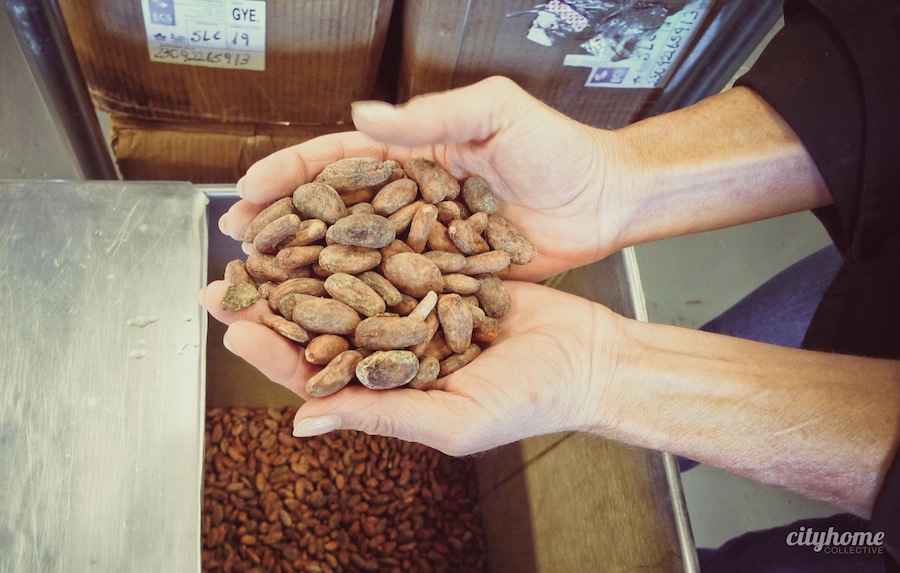 Salt Lake Local Business | Millcreek Cocoa | Chocolate-24