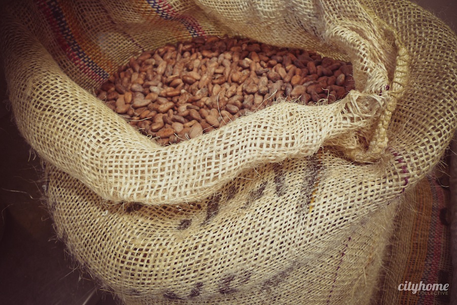 Salt Lake Local Business | Millcreek Cocoa | Chocolate-6