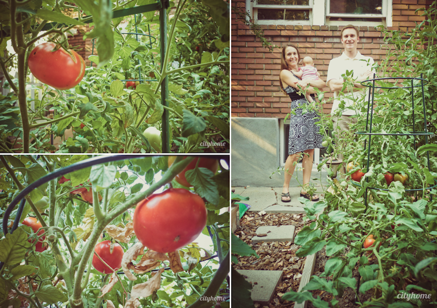 Salt Lake City Home for Sale | Life in Your Space-19