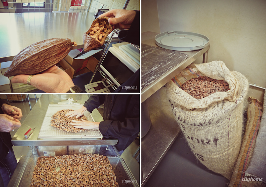 Salt Lake Local Business | Millcreek Cocoa | Chocolate