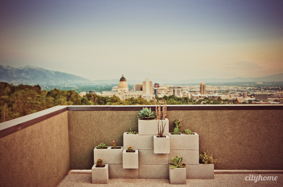 cityhomeCOLLECTIVE Design