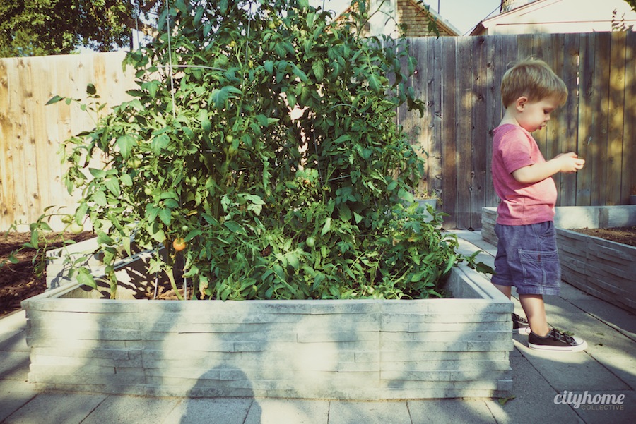 Salt Lake City lifestyle shoot | Sugarhouse home for sale-12