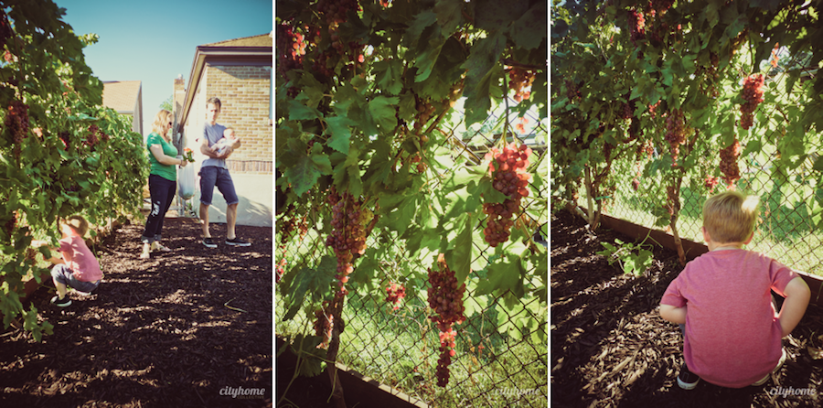 Screen shot 2012-09-12 at 10.42.58 AM