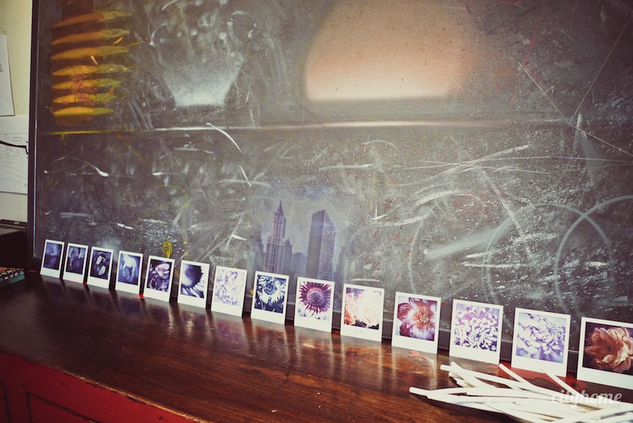 Meld Design | Local-4