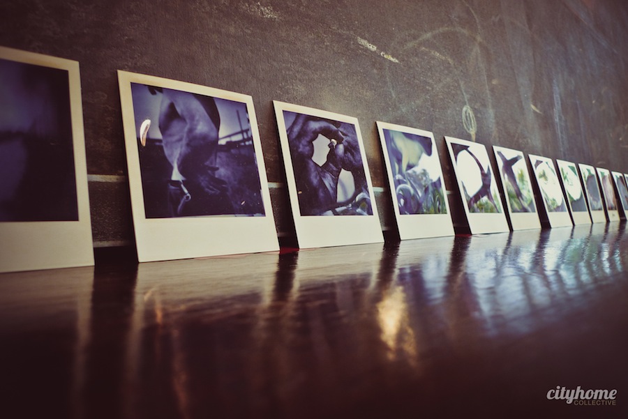 Meld Design | Local-5