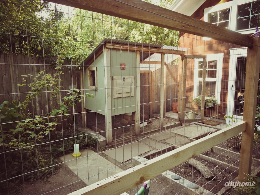Salt Lake City Urban Farming | Chicken Coop-