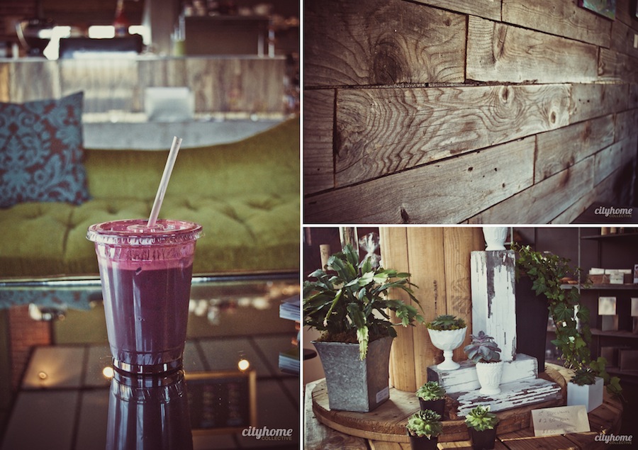 Botanica | Group-1