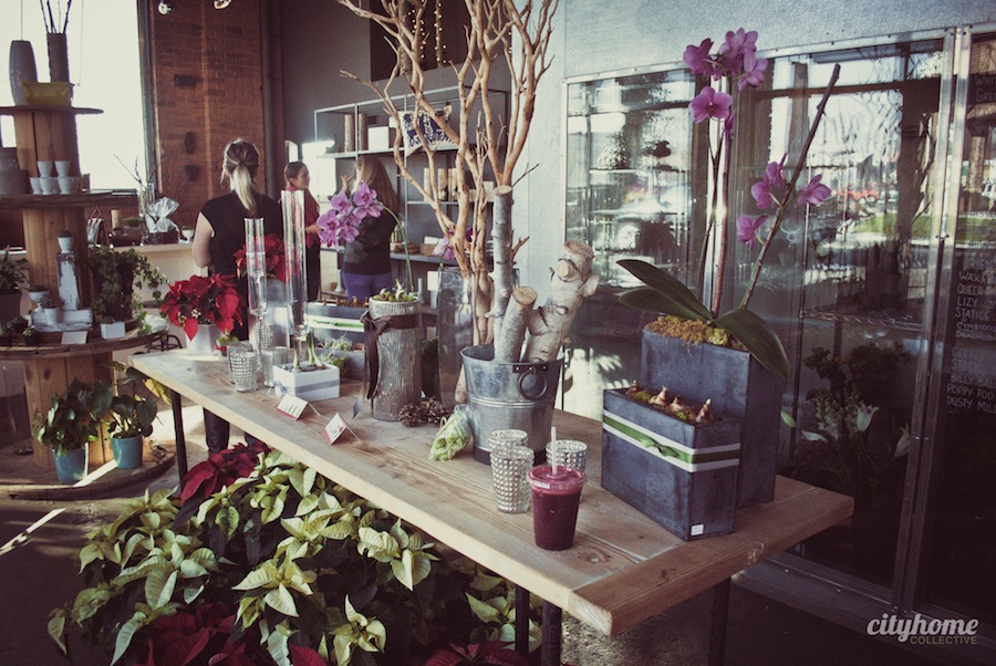 Botanica | Sugarhouse-6