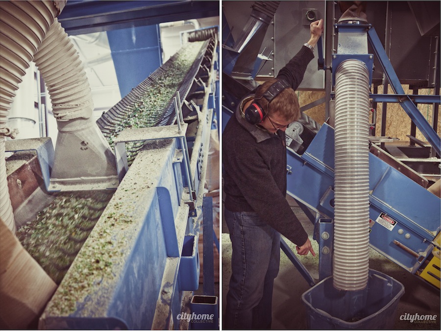 Momentum Recycling | SLC Green Business - 5