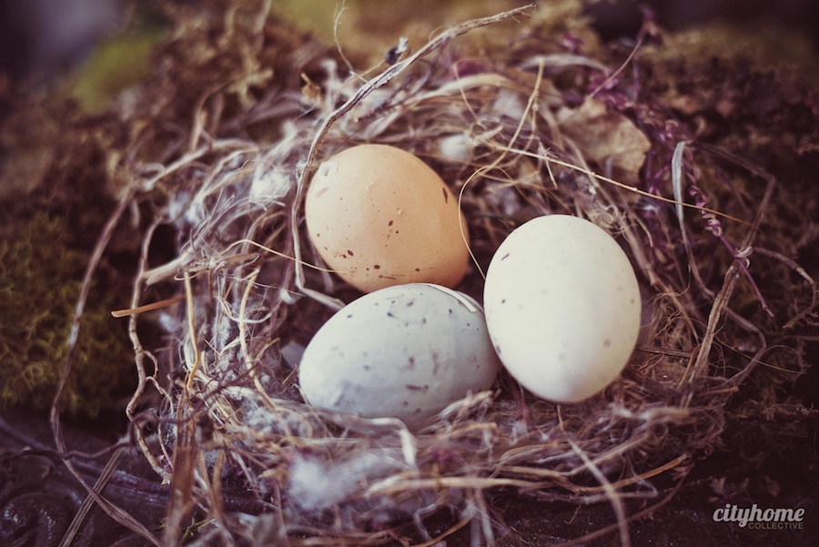 Blooms-Co-Downtown-SLC-Flower-Shop-28