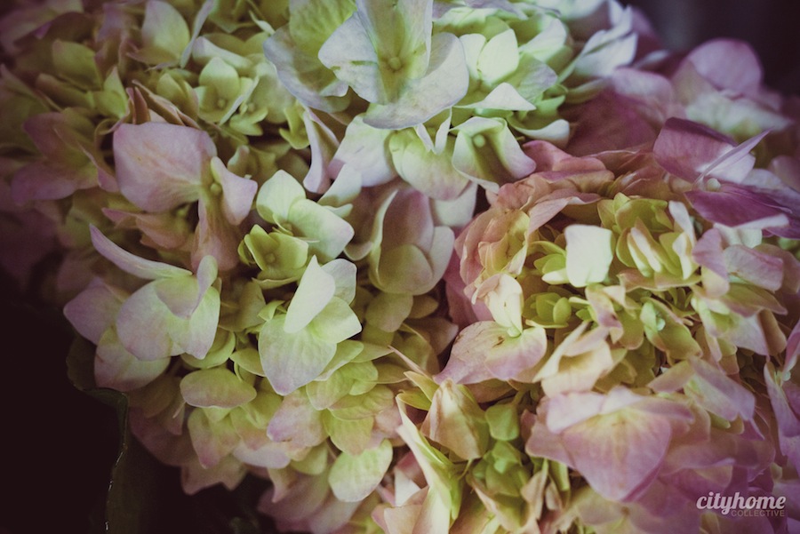 Blooms-Co-Downtown-SLC-Flower-Shop-6