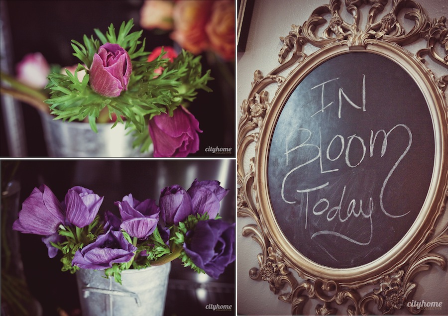 Blooms-and-Co-Salt-Lake-Local-Flower-Shop