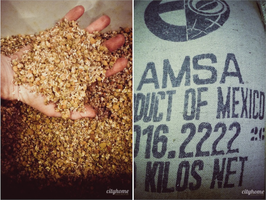 Rimini-Coffee-Salt-Lake-Local-Business-5