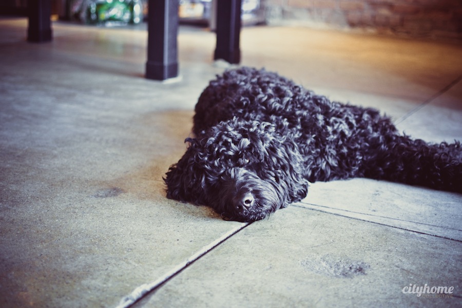 Super-Top-Secret-Salt-Lake-Local-Marketing-Firm-12