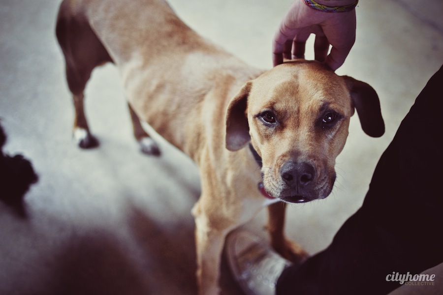 Super-Top-Secret-Salt-Lake-Local-Marketing-Firm-3