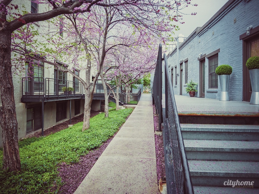 Pierpont-Loft-Downtown-Salt-Lake-Home-For-Sale-5