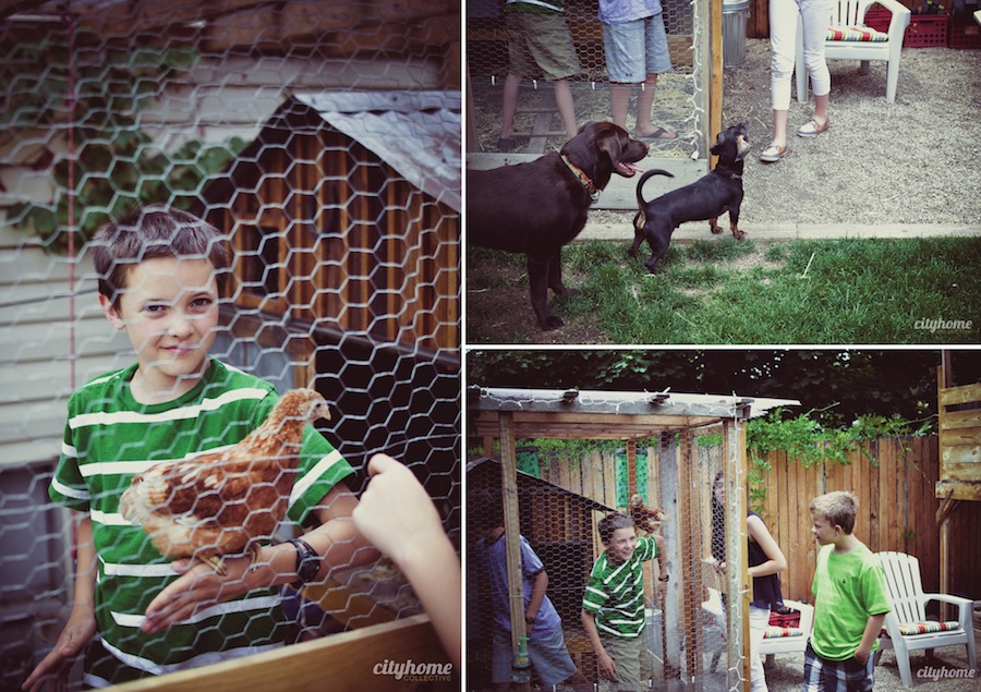 Darbys-Pimms-Cup-Recipe-7