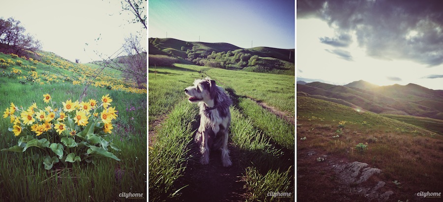 Salt-Lake-Mountains-Canyons-1