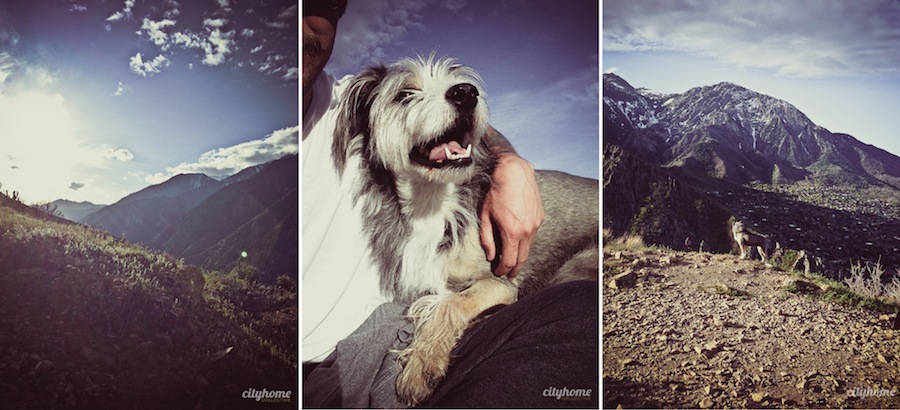 Salt-Lake-Mountains-Canyons-2