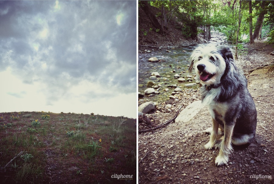 Salt-Lake-Mountains-Canyons-4