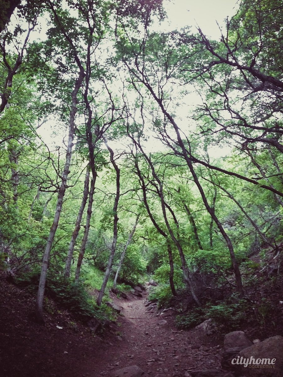 Salt-Lake-Mountains-Nature-Activites-11