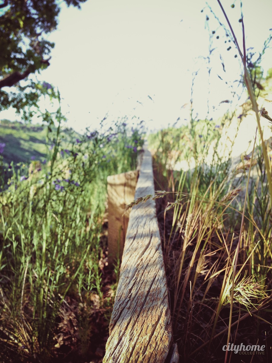 Salt-Lake-Mountains-Nature-Activites-14