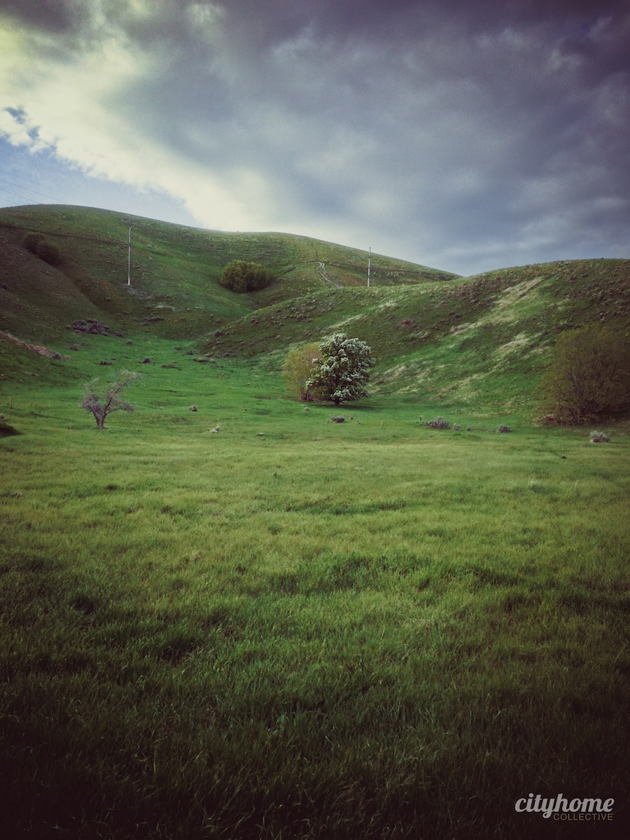 Salt-Lake-Mountains-Nature-Activites-8