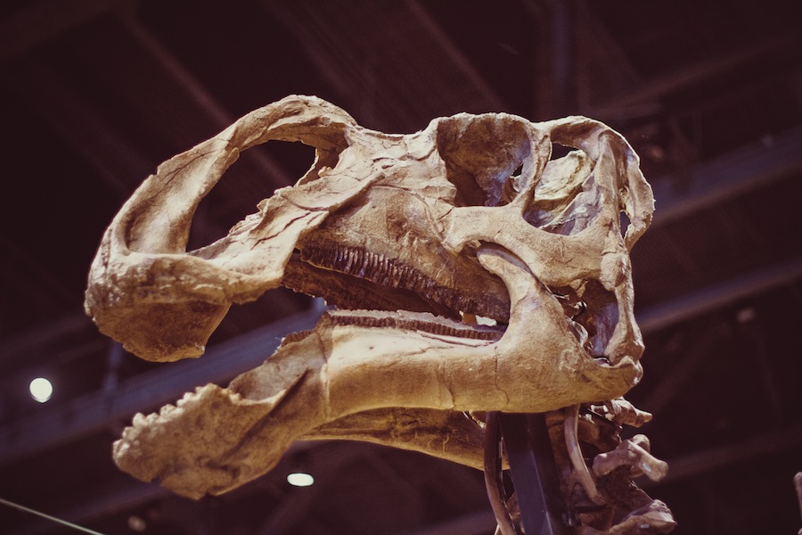 Indie-Fest-Big-Cartel-Creative-Conference-Salt-Lake-Culture-1-7