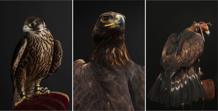 Lynn-Blodgett-Lord-Of-Skies-Photography-1