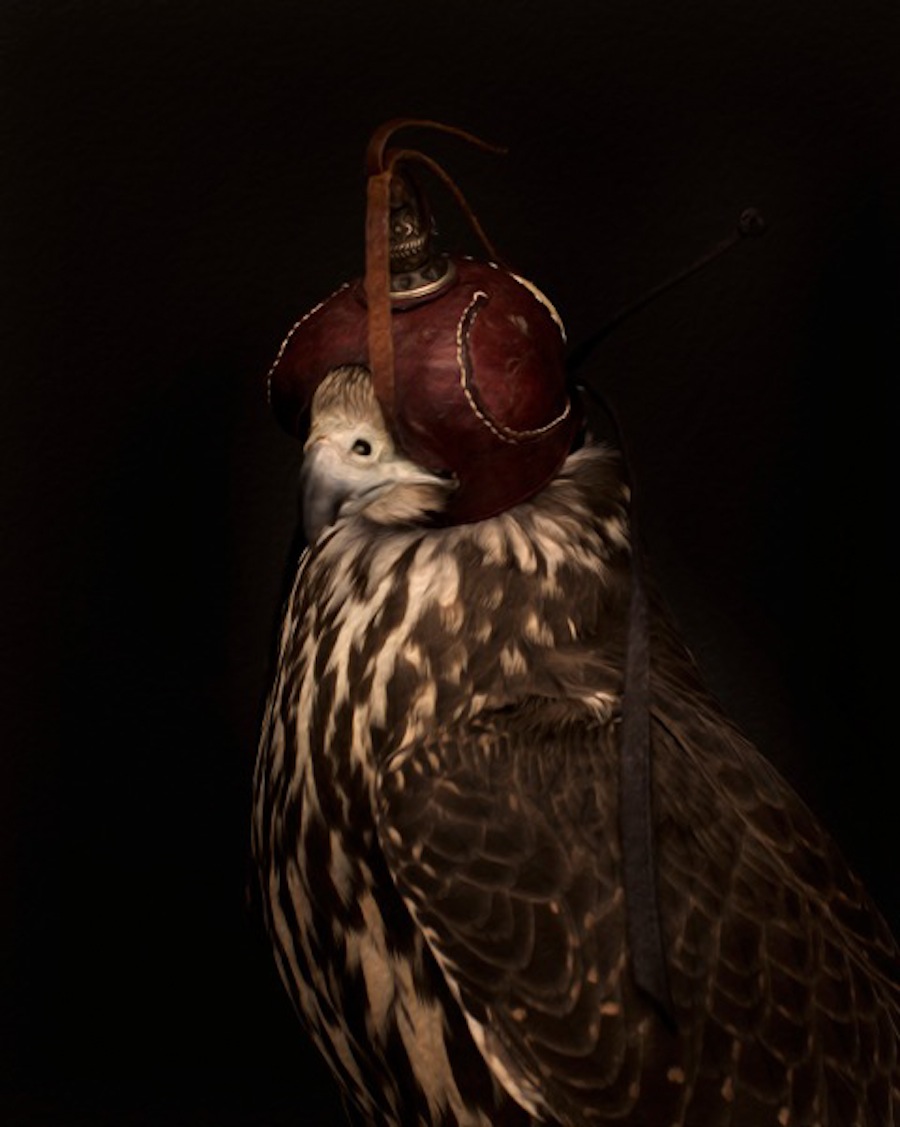 Lynn-Blodgett-Lord-of-Sky-Photography-NYC-Gallery-Show-7