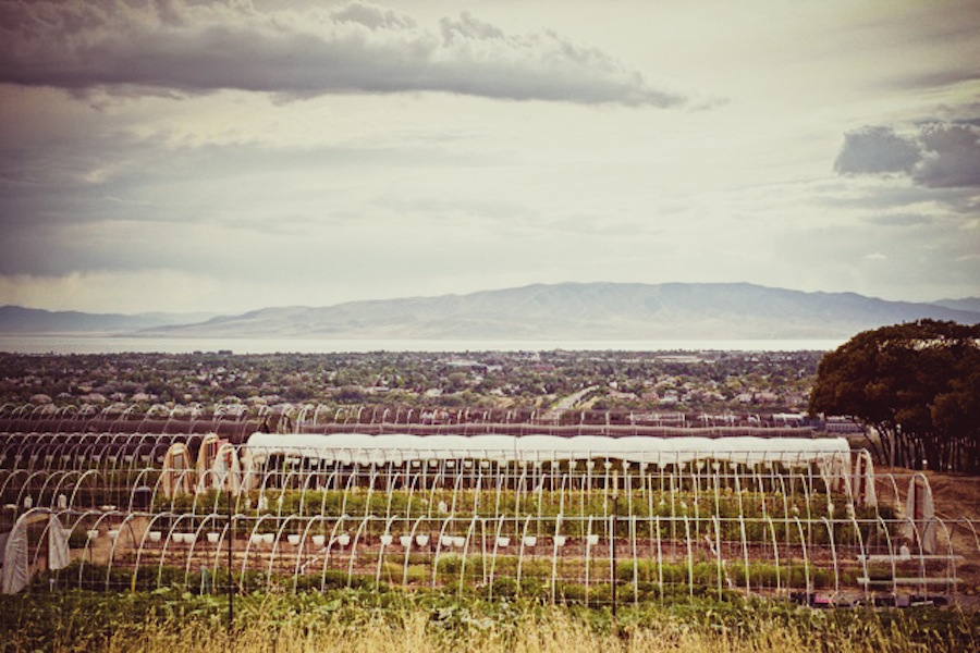 SLC-Foodie-Le-Nay-Ferme-Farm-Event-6