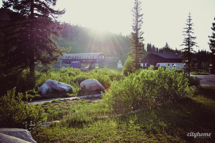 Wasatch-Mountain-Table-Solitude-Resort-Dining-Event-18