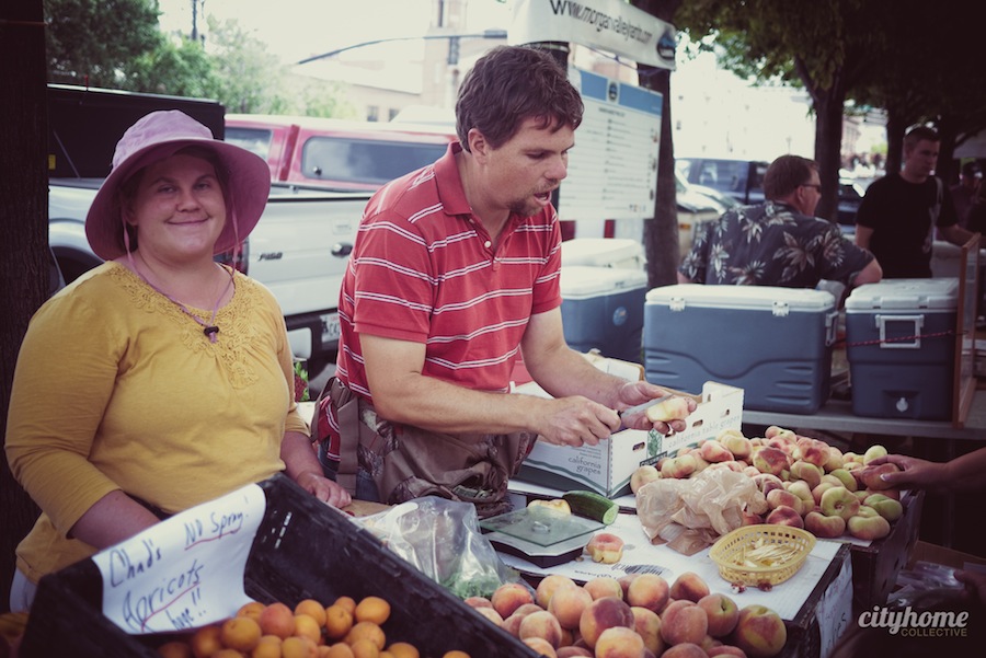 Downtown-Salt-Lake-Farmers-Market-Chads-No-Spray-Produce-13