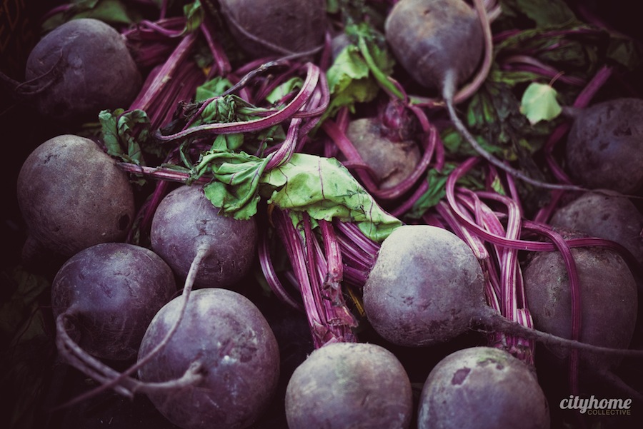 Downtown-Salt-Lake-Farmers-Market-Chads-No-Spray-Produce-18