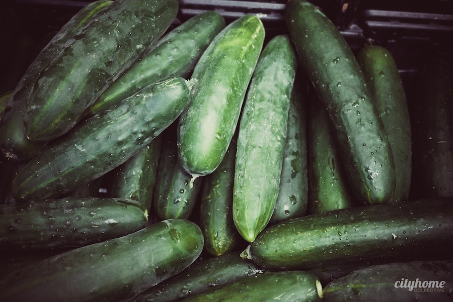 Downtown-Salt-Lake-Farmers-Market-Chads-No-Spray-Produce-6