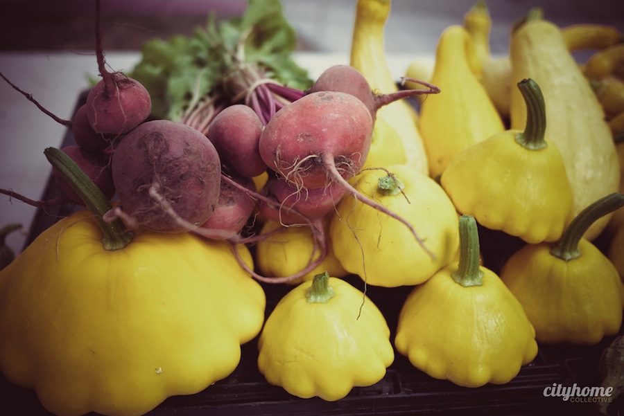 Downtown-Salt-Lake-Farmers-Market-Chads-No-Spray-Produce-7