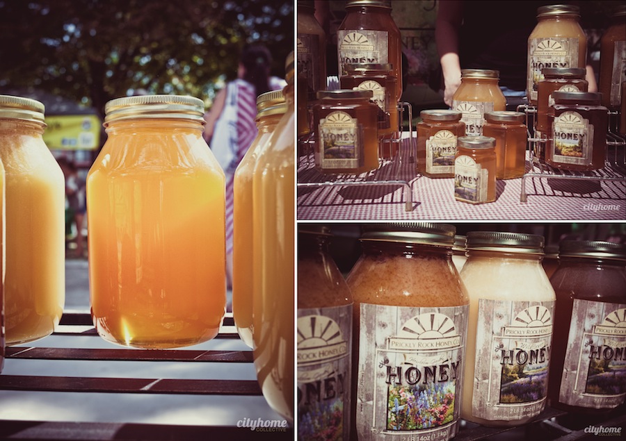 Prickely-Rock-Honey-Salt-Lake