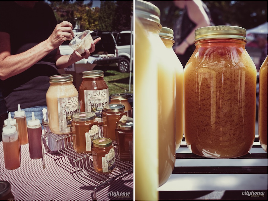 Prickly-Rock-Raw-Honey-1