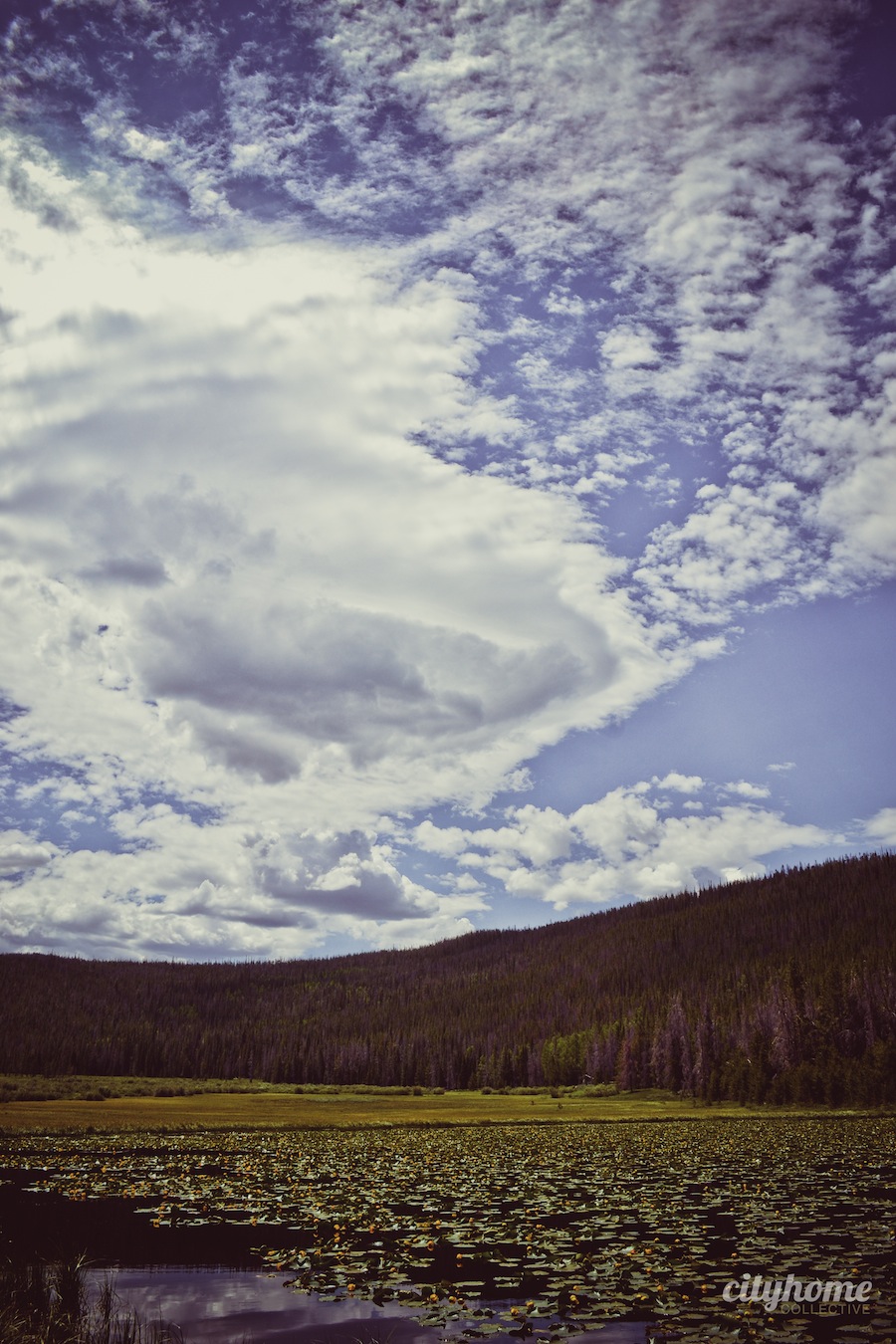 Salt-Lake-Area-Uintas-Wilderness-Camping-10