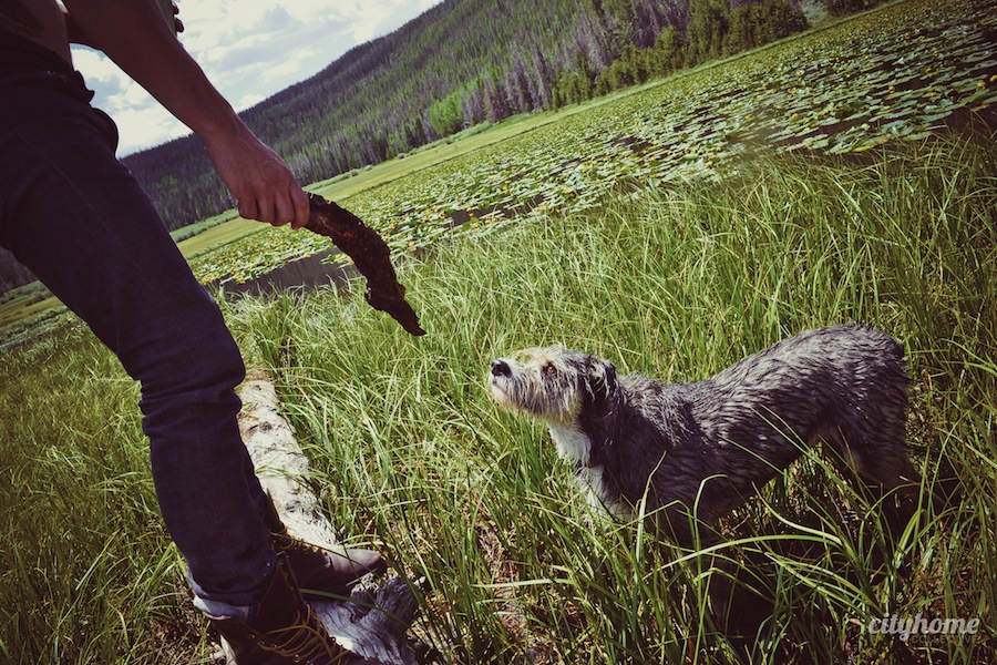 Salt-Lake-Area-Uintas-Wilderness-Camping-13