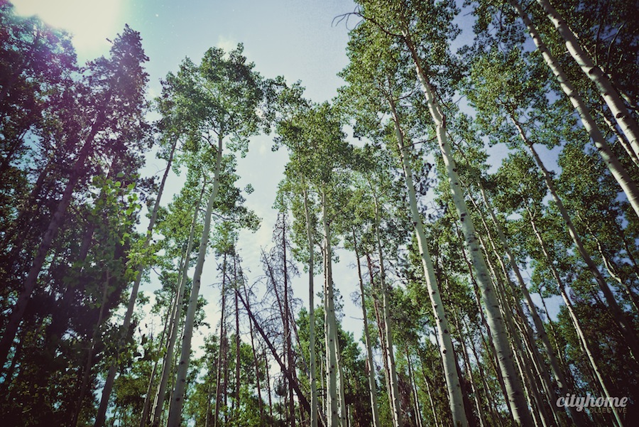 Salt-Lake-Area-Uintas-Wilderness-Camping-20