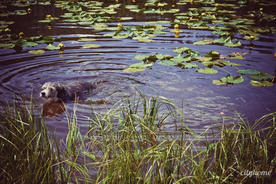 Salt-Lake-Area-Uintas-Wilderness-Camping-9