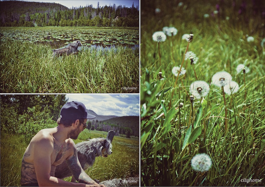 Uinta-Wilderness-Camping-2