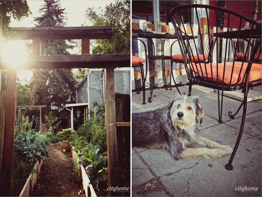 Avenues-Bistro-on-3rd-Salt-Lake-4