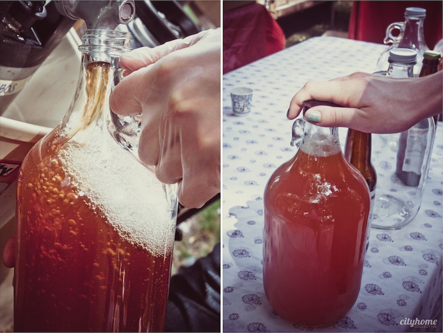 Downtown-Farmers-Market-Kombucha