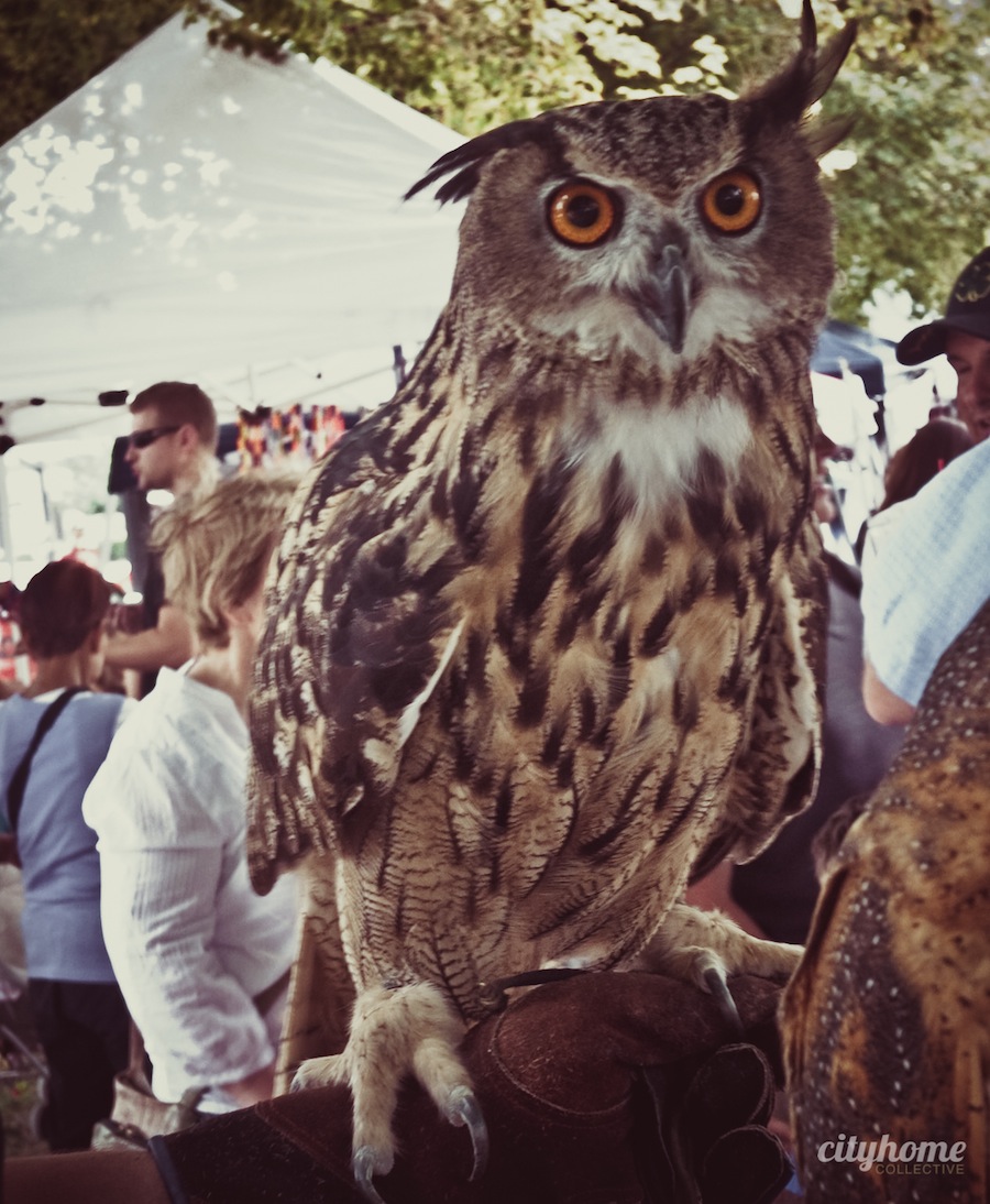 Downtown-Salt-Lake-Farmers-Market-Earth-Wings-13