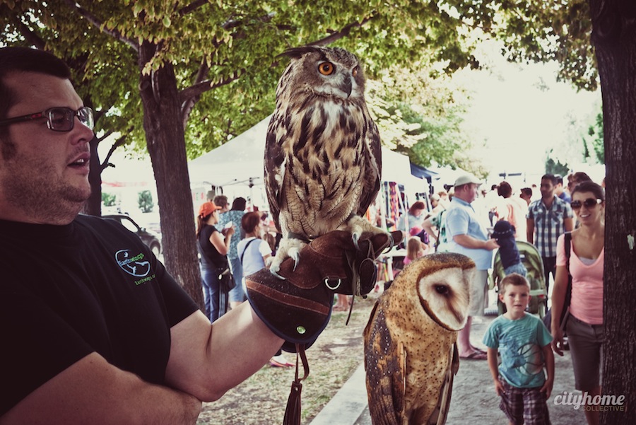 Downtown-Salt-Lake-Farmers-Market-Earth-Wings-15