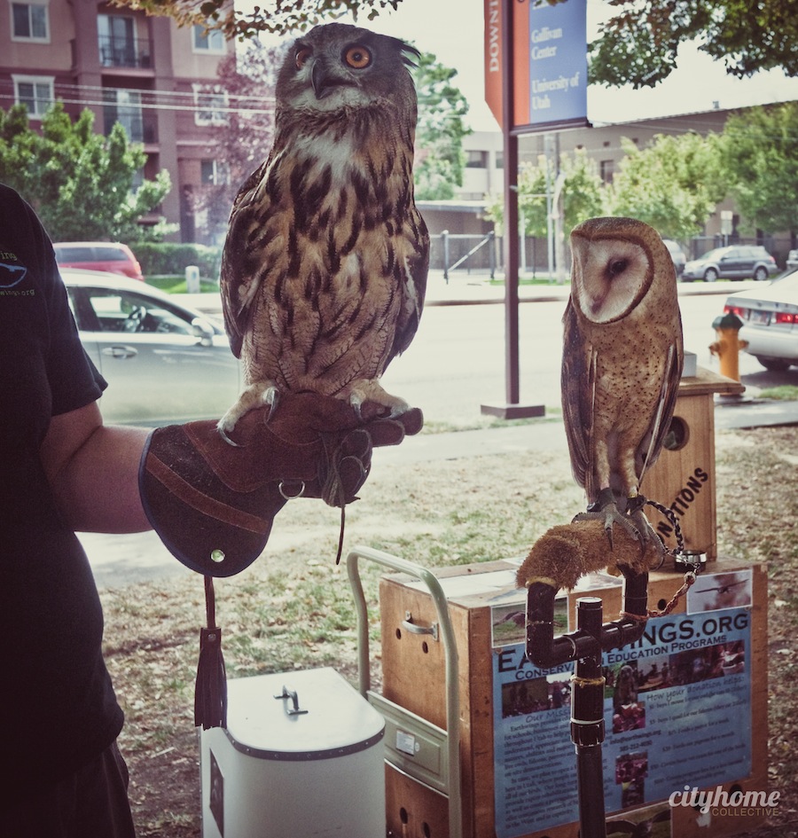 Downtown-Salt-Lake-Farmers-Market-Earth-Wings-5