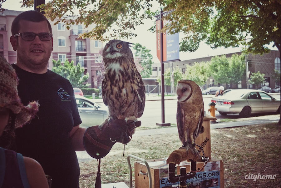 Downtown-Salt-Lake-Farmers-Market-Earth-Wings-6