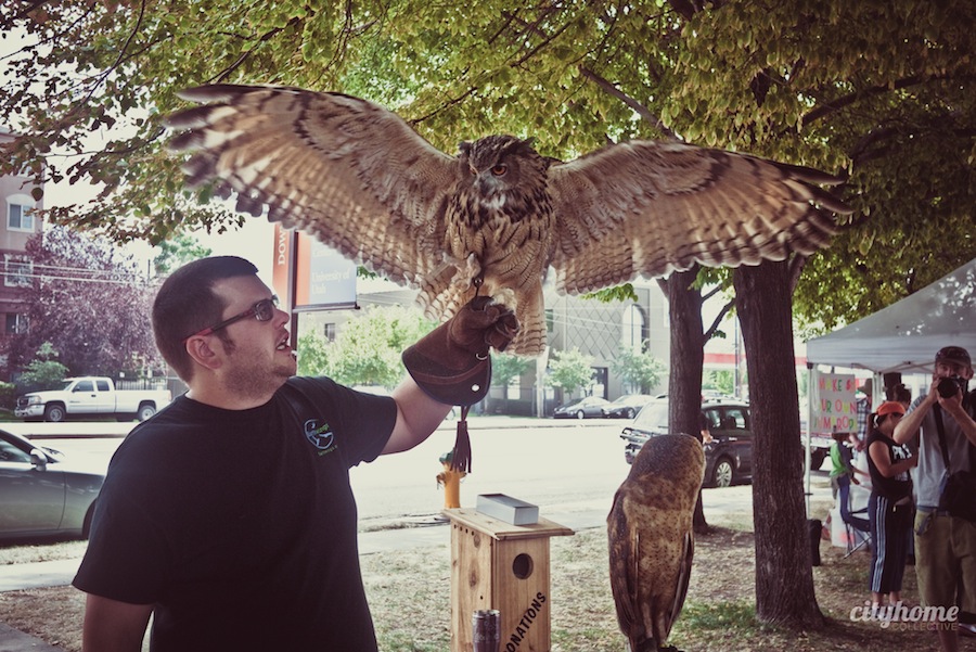 Downtown-Salt-Lake-Farmers-Market-Earth-Wings-8